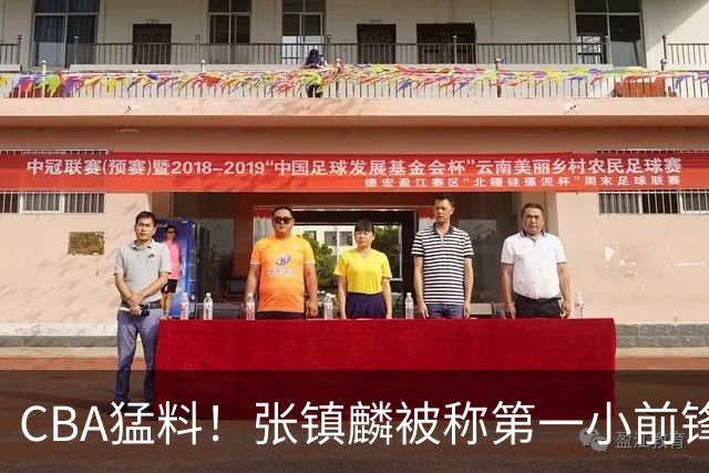 CBA猛料！张镇麟被称第一小前锋，麦基比赛态度变好，拉塞尔伤病出炉